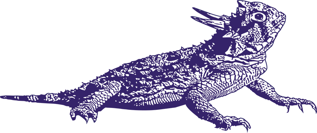 Horned Toad Graphic Tee
