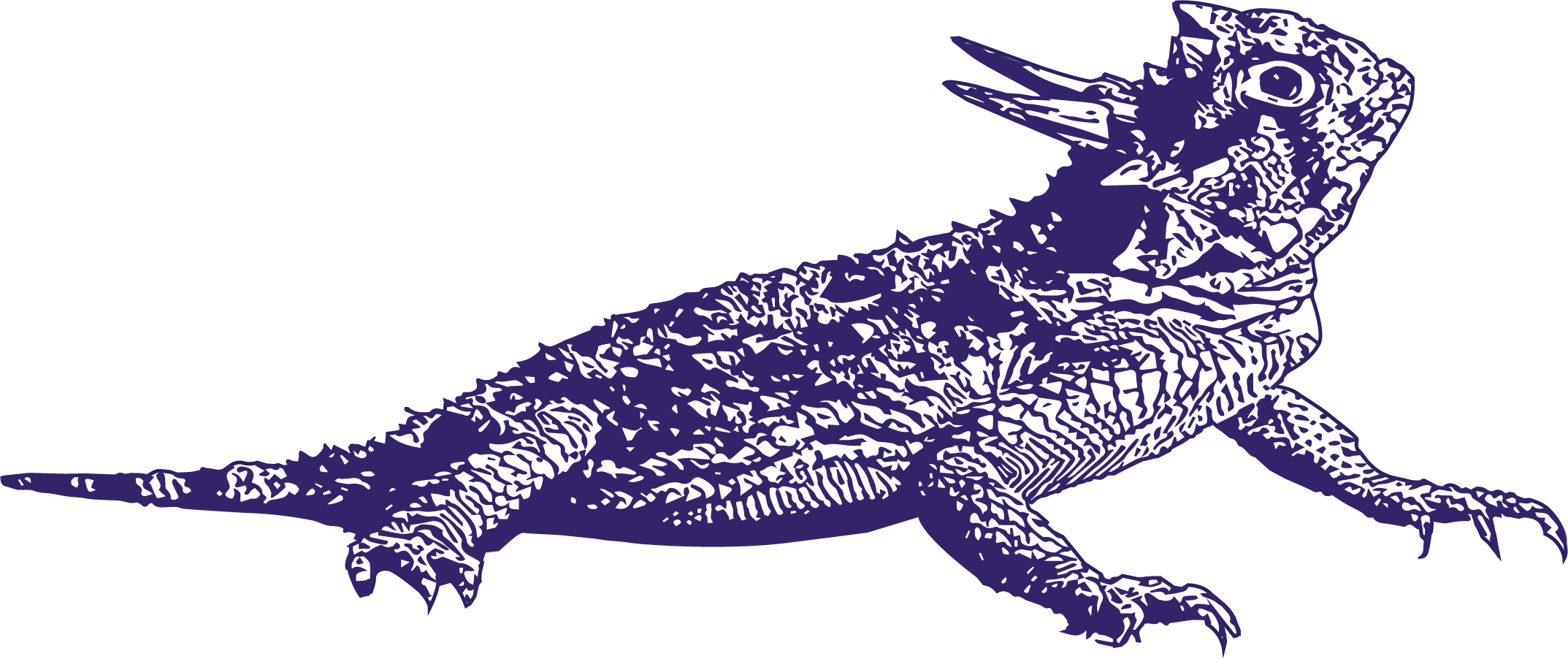 Horned Toad Graphic Tee