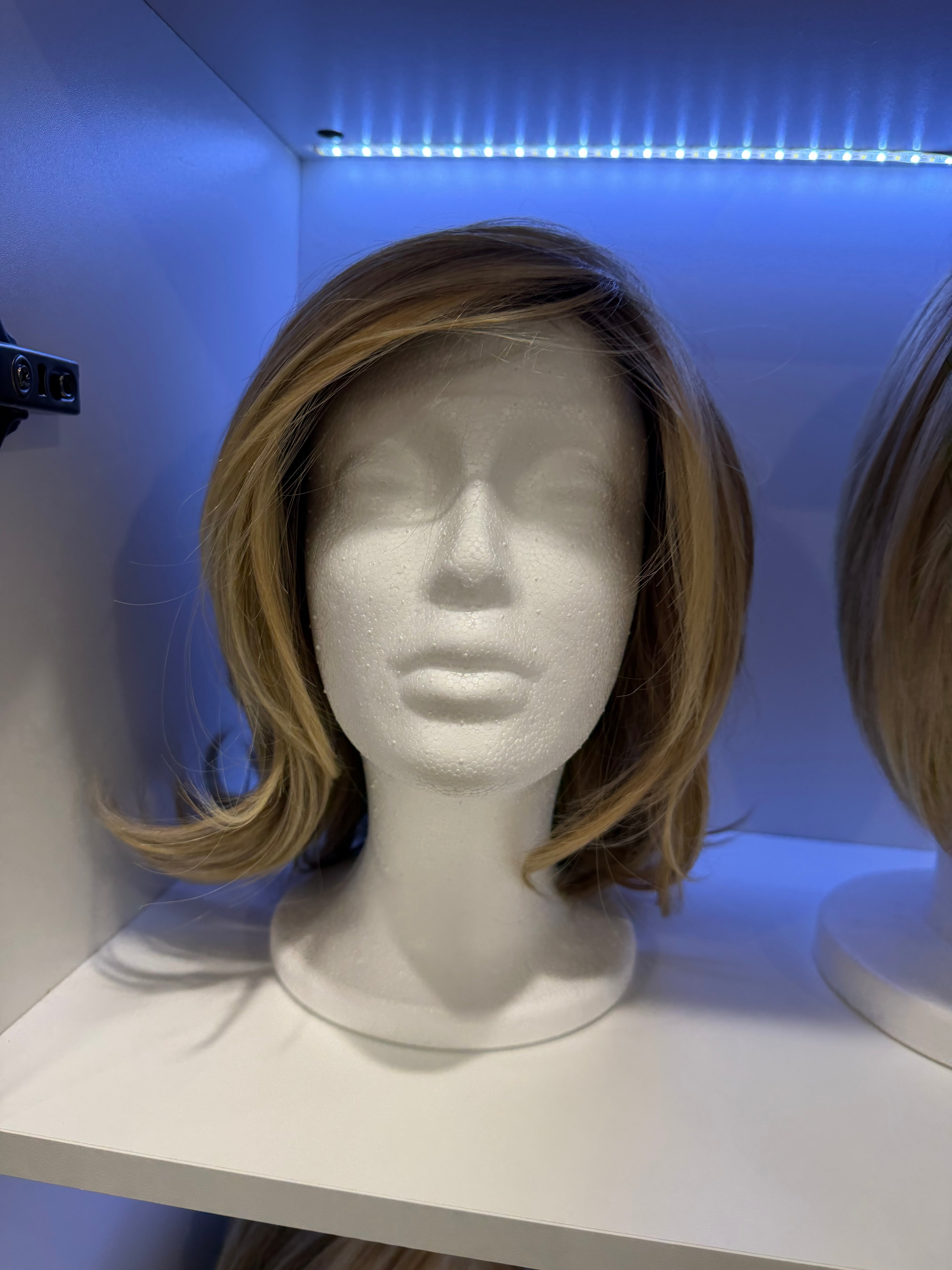 Elizabeth•Malibu Blonde•Jon Renau