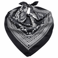 Silk Scarf