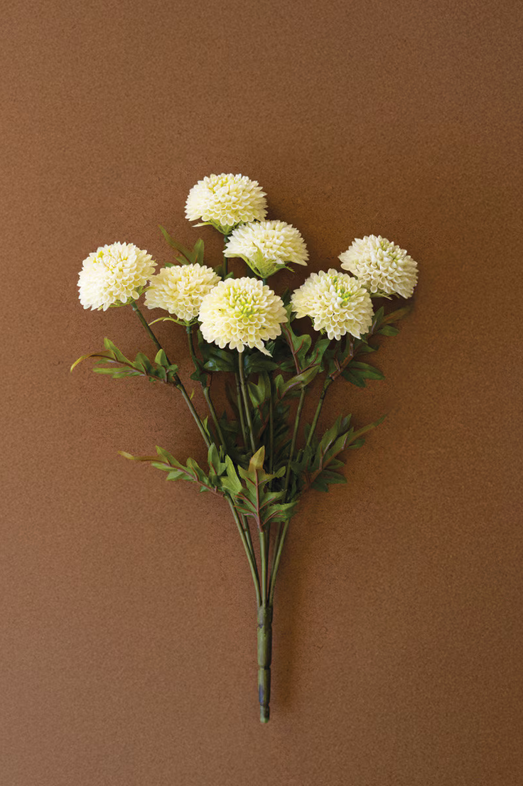 Single white dahlia stem bundle showing full height and stem detail