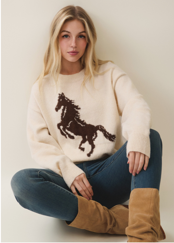 Horse Pattern Sweater - additional view