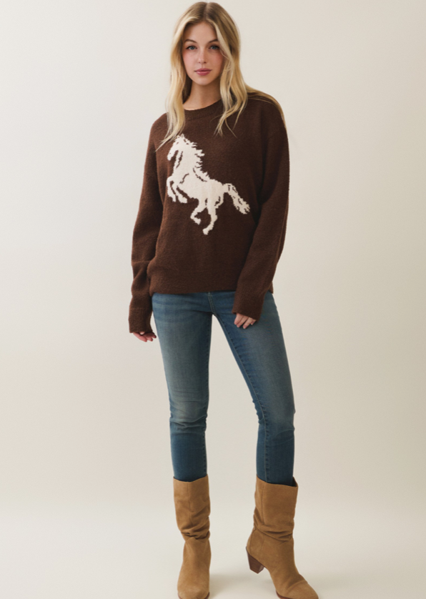Horse Pattern Sweater - brown, close up detail
