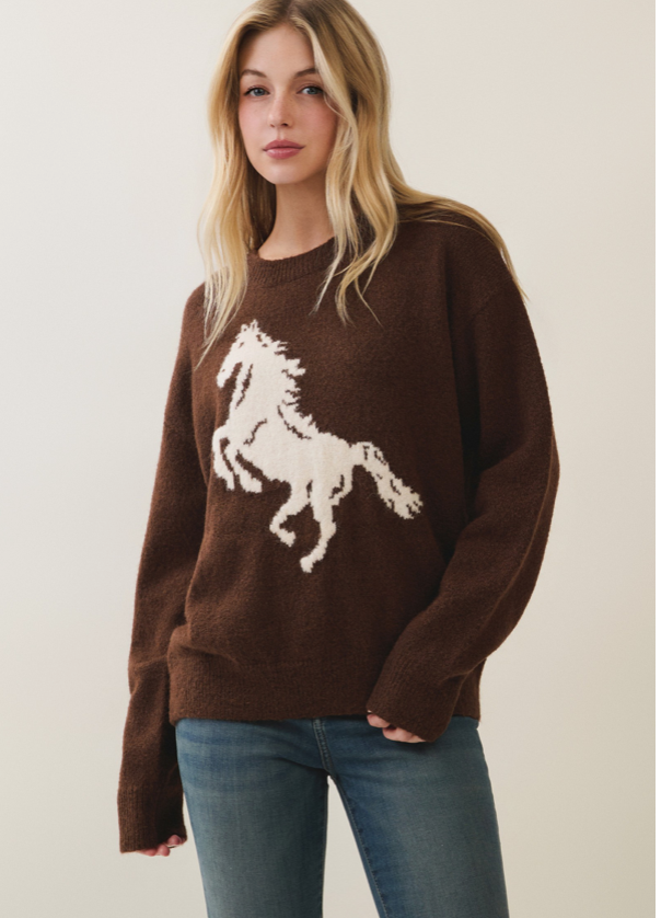 Horse Pattern Sweater - brown with cream horse graphic, looking down