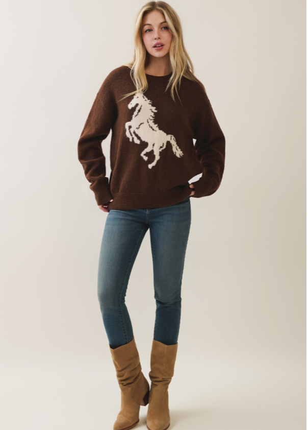 Horse Pattern Sweater - brown with cream horse graphic, full length front view standing
