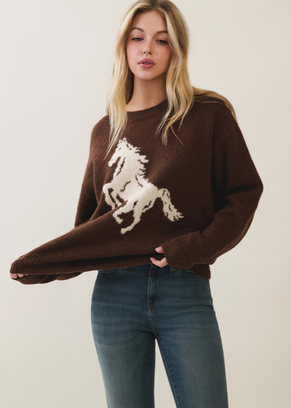 Horse Pattern Sweater - cream with brown horse graphic, full length front view