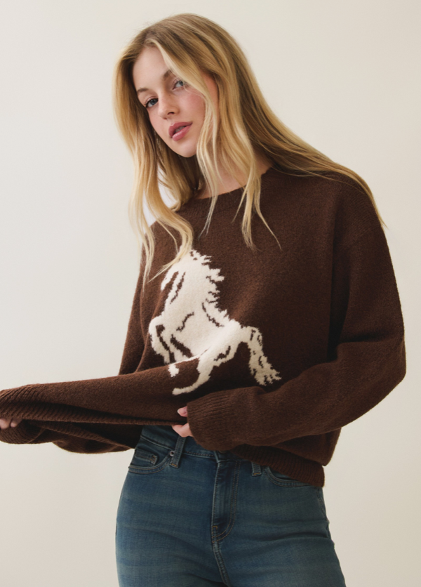 Horse Pattern Sweater - brown with cream horse graphic, full length front view hands behind back