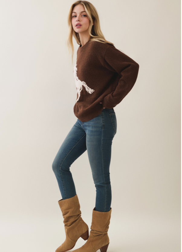 Horse Pattern Sweater - brown with cream horse graphic, cropped front view
