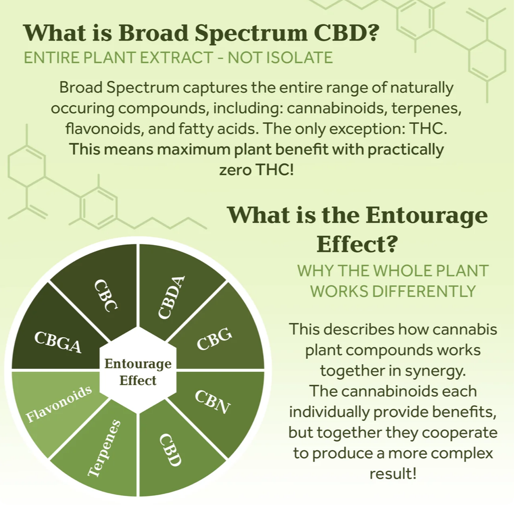 Manufacturer graphic explaining broad-spectrum CBD and the entourage effect
